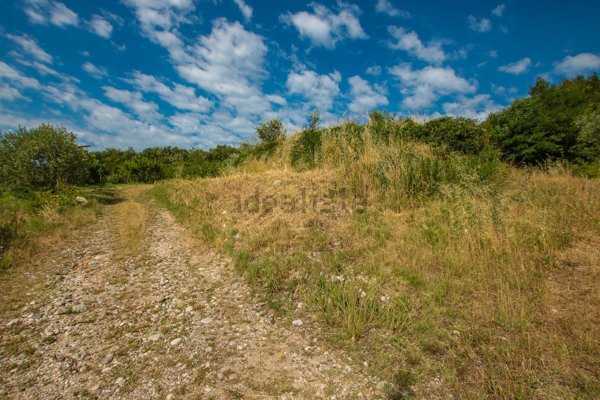 terreno agricolo in vendita ad Affi
