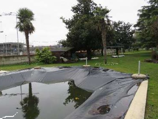 casa indipendente in vendita ad Affi