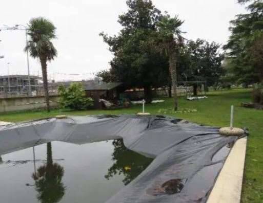 casa indipendente in vendita ad Affi