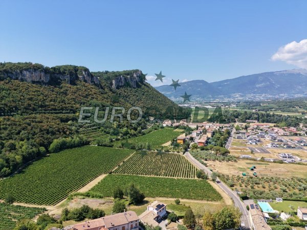 esavano in vendita ad Affi in zona Caorsa