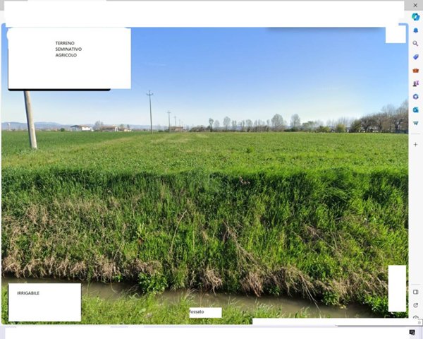 terreno agricolo in vendita ad Albaredo d'Adige