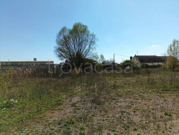 terreno agricolo in vendita ad Albaredo d'Adige