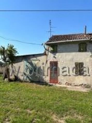 pentavano in vendita ad Albaredo d'Adige