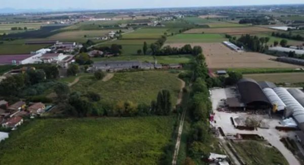 terreno agricolo in vendita ad Albaredo d'Adige