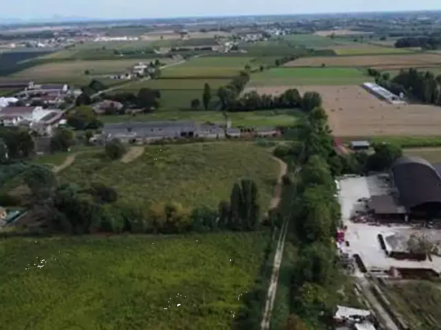 terreno agricolo in vendita ad Albaredo d'Adige