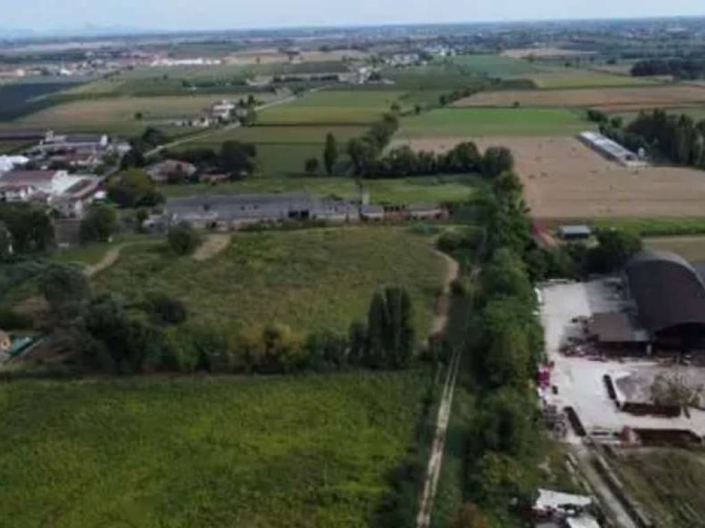 terreno agricolo in vendita ad Albaredo d'Adige