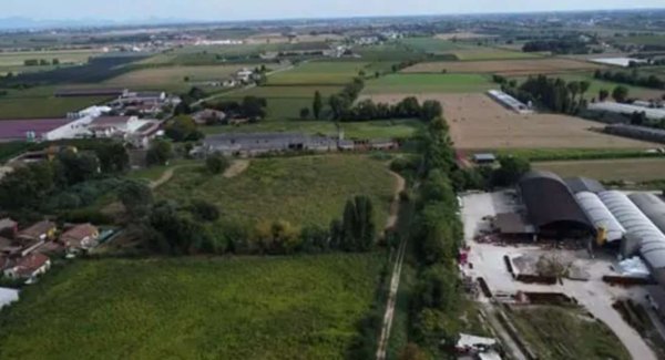 terreno agricolo in vendita ad Albaredo d'Adige