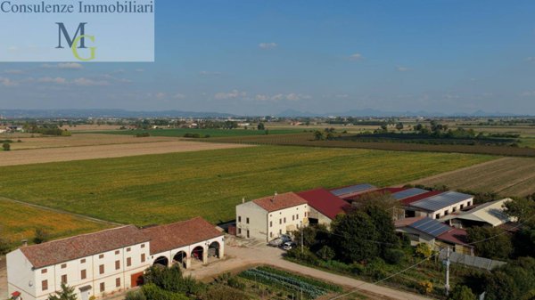 azienda agricola in vendita ad Albaredo d'Adige