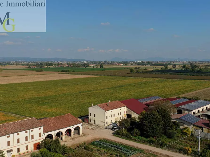 azienda agricola in vendita ad Albaredo d'Adige