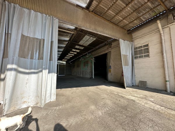 locale commerciale in vendita ad Albaredo d'Adige