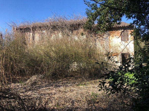 casa indipendente in vendita ad Angiari