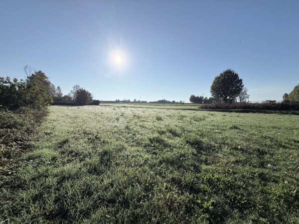 terreno agricolo in vendita ad Arcole in zona Gazzolo