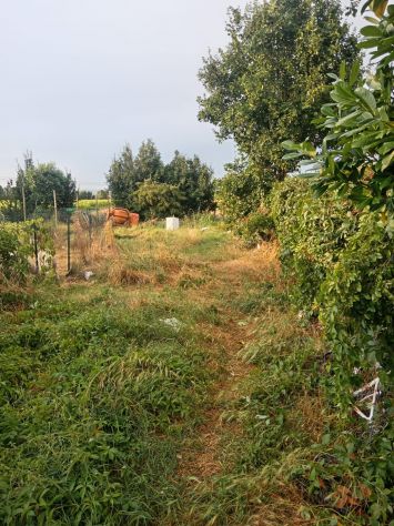casa indipendente in vendita ad Arcole
