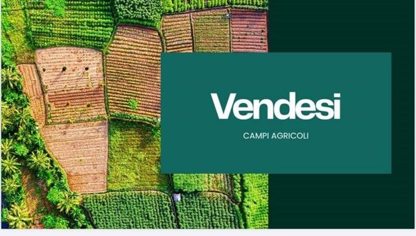 terreno agricolo in vendita ad Arcole