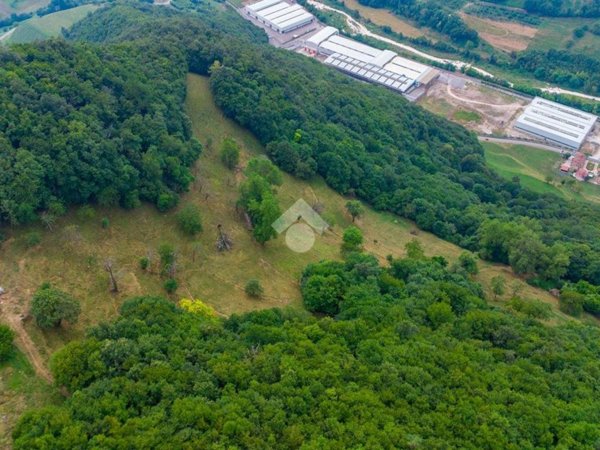 terreno agricolo in vendita a Badia Calavena in zona Sant'Andrea