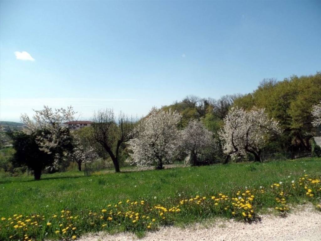 terreno edificabile in vendita a Badia Calavena in zona San Valentino