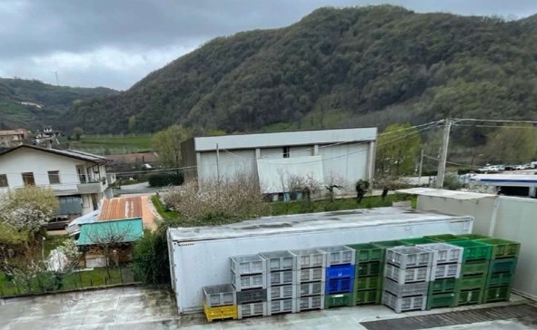 immagine annuncio 0 di 10