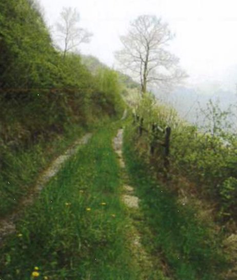 appartamento in vendita a Badia Calavena