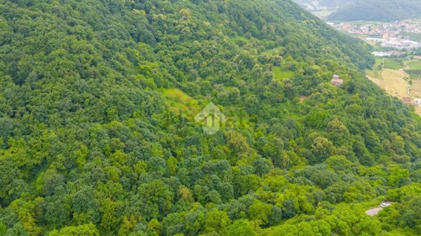terreno agricolo in vendita a Badia Calavena