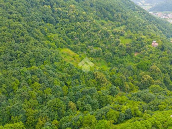 terreno agricolo in vendita a Badia Calavena