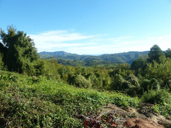 terreno edificabile in vendita a Badia Calavena