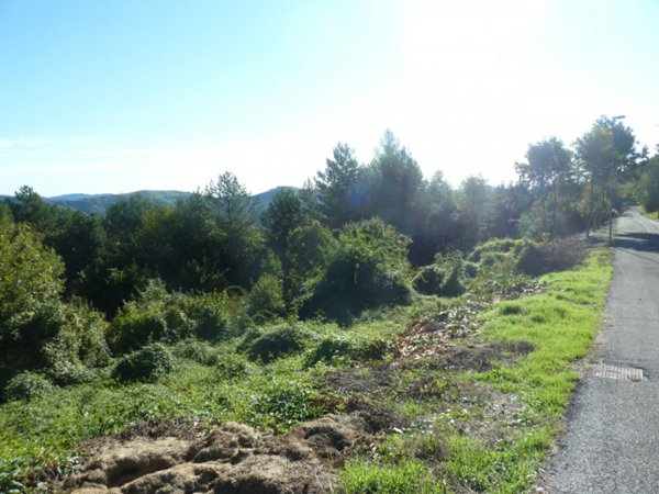terreno edificabile in vendita a Badia Calavena in zona Badia Calavena