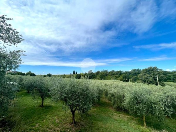 terreno agricolo in vendita a Bardolino