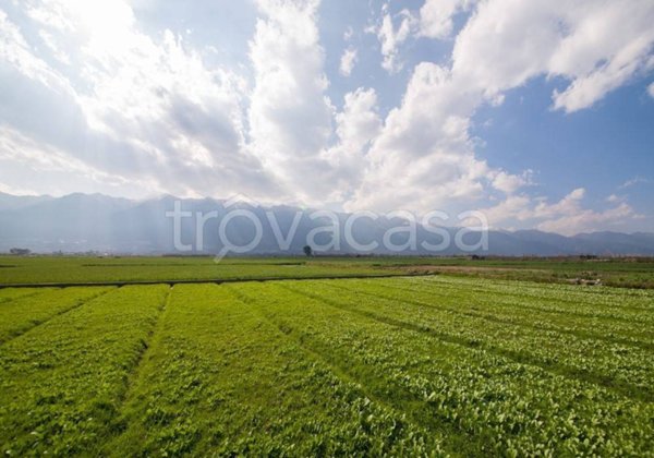 terreno agricolo in vendita a Bardolino