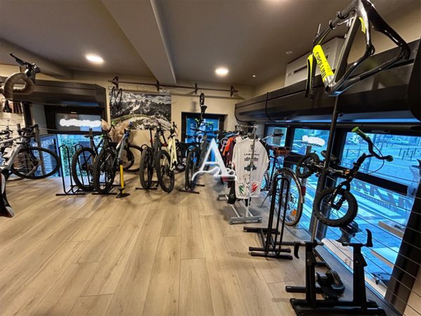 appartamento in vendita a Bardolino