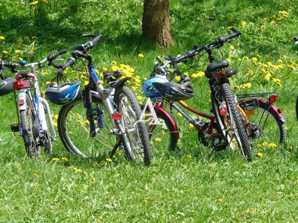 appartamento in vendita a Bardolino