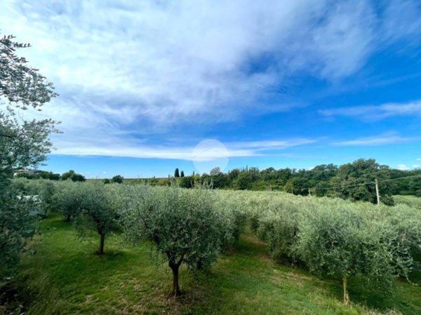 terreno agricolo in vendita a Bardolino