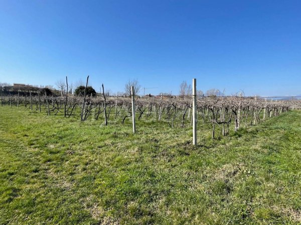 terreno agricolo in vendita a Bardolino