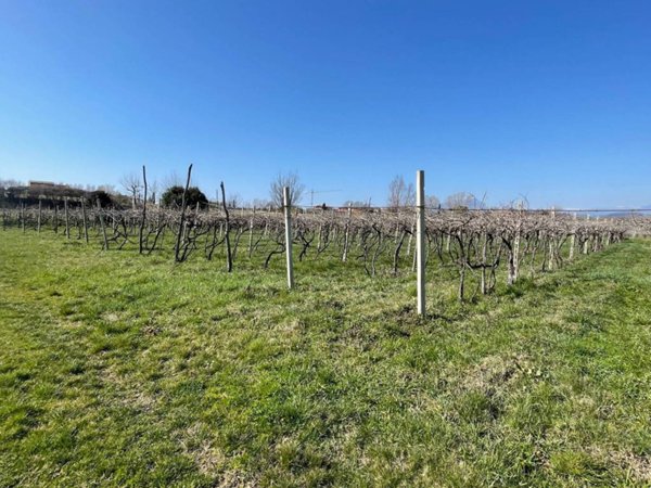 terreno agricolo in vendita a Bardolino