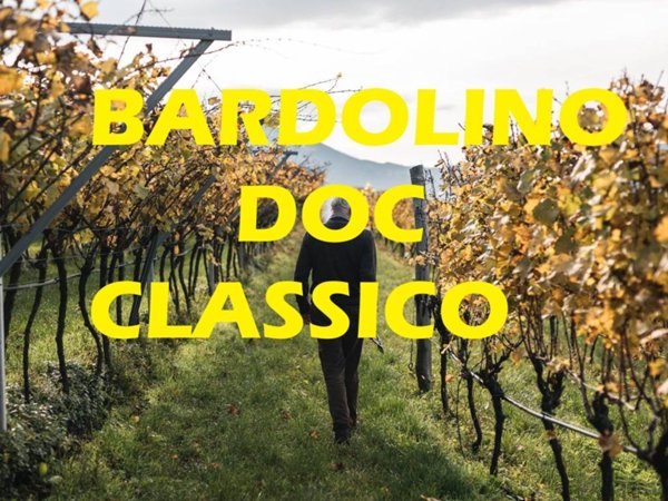 terreno agricolo in vendita a Bardolino