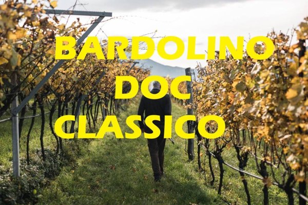 ufficio in vendita a Bardolino