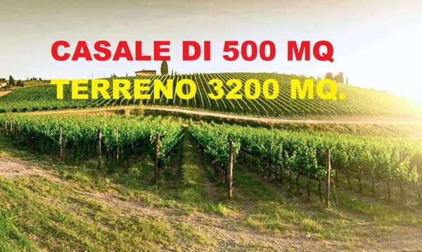 immagine annuncio 0 di 7