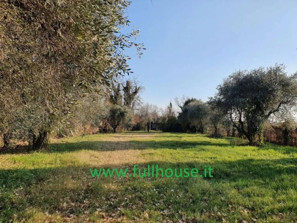terreno agricolo in vendita a Bardolino