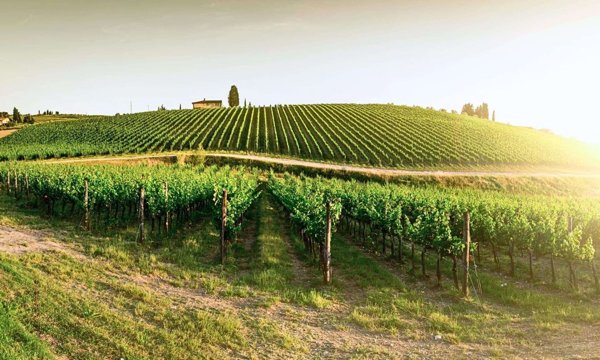 ufficio in vendita a Bardolino