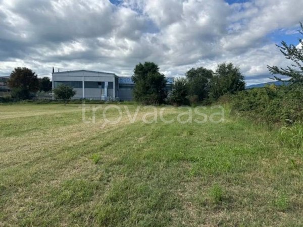 terreno agricolo in vendita a Bardolino in zona Calmasino