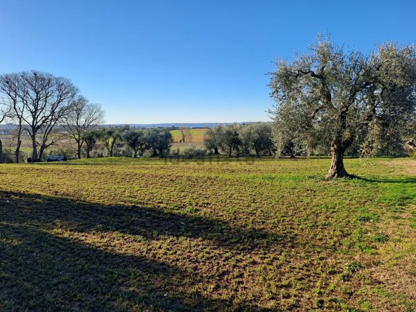pentavano in vendita a Bardolino in zona Calmasino