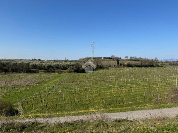 terreno agricolo in vendita a Bardolino