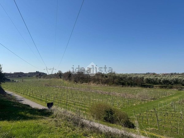 terreno agricolo in vendita a Bardolino