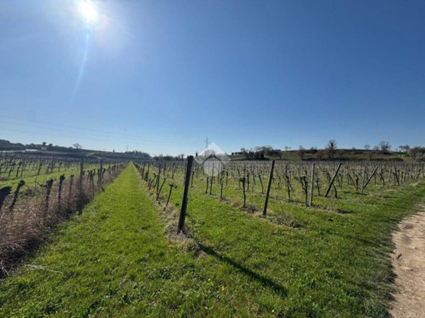terreno in vendita a Bardolino in zona Calmasino