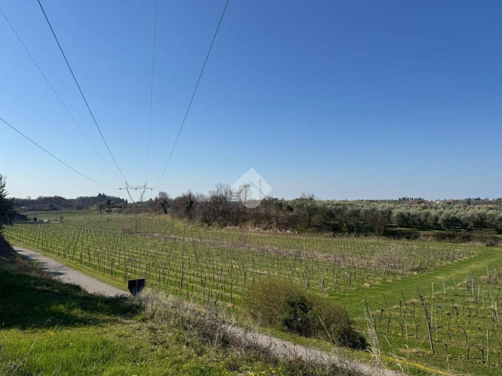 terreno in vendita a Bardolino in zona Calmasino