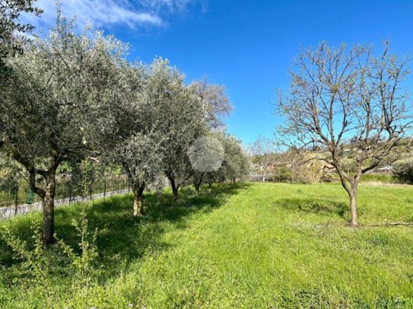 ufficio in vendita a Bardolino