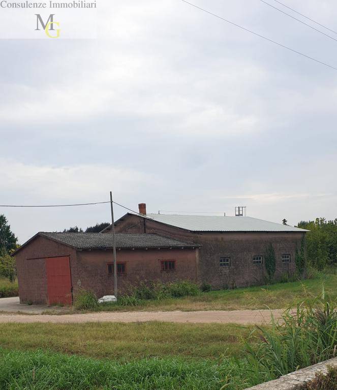 terreno agricolo in vendita a Belfiore