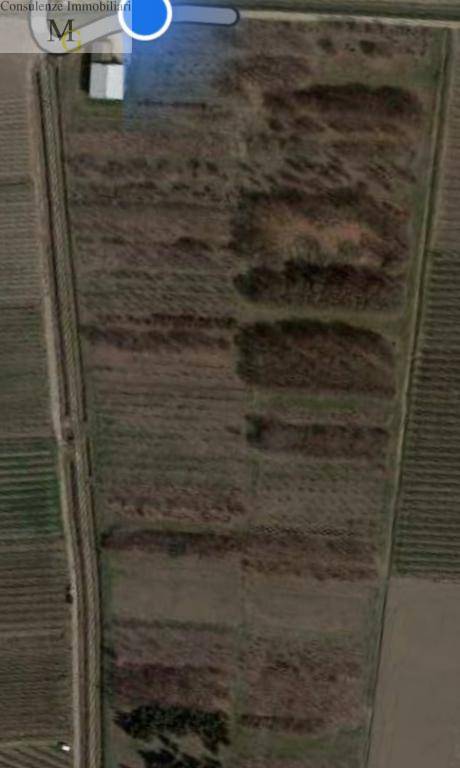 terreno agricolo in vendita a Belfiore