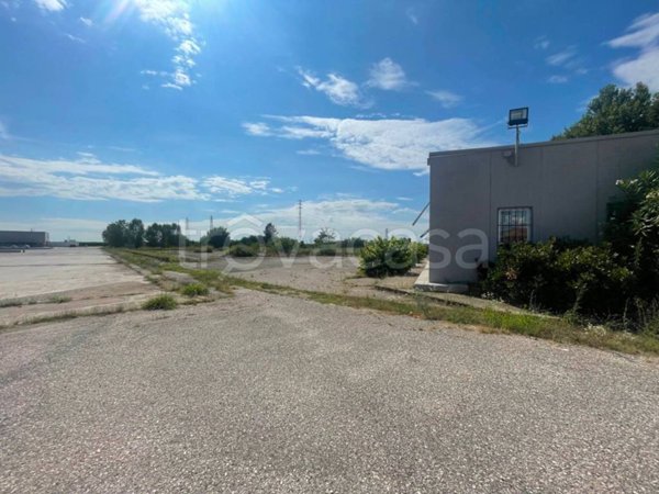 terreno agricolo in vendita a Belfiore