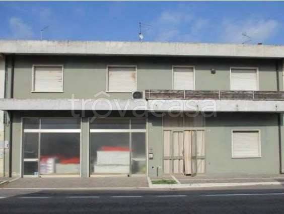 casa indipendente in vendita a Bevilacqua in zona Marega