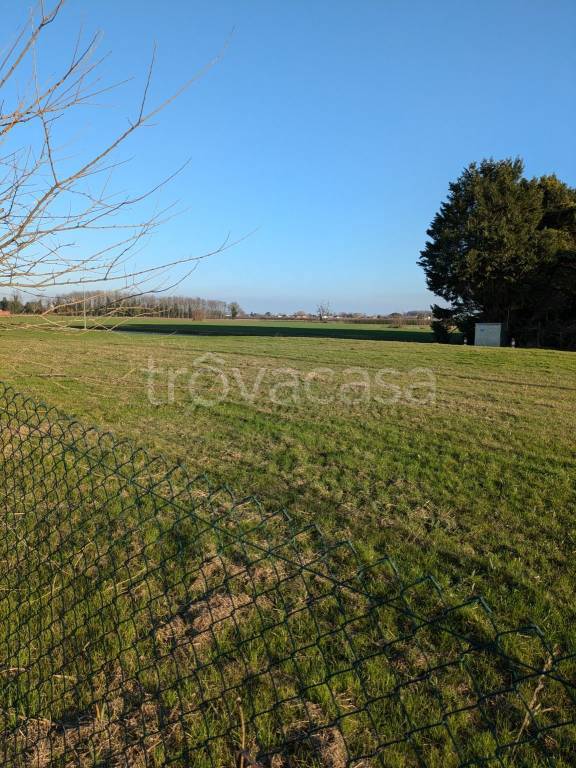 terreno edificabile in vendita a Bonavigo in zona Orti